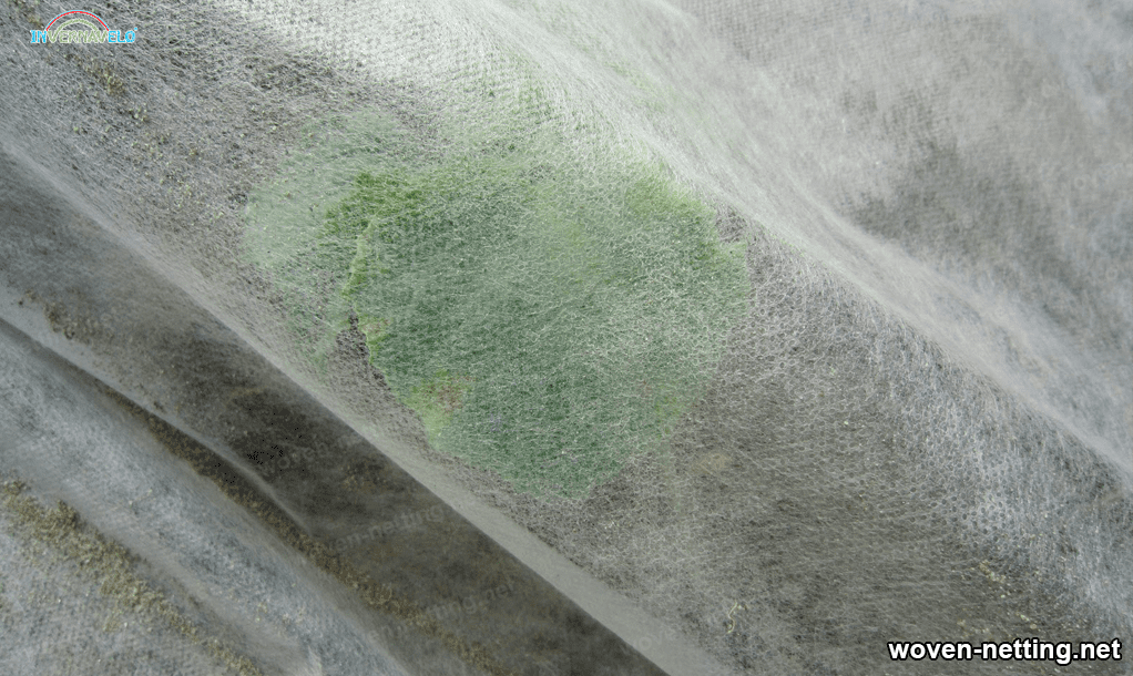 woven netting